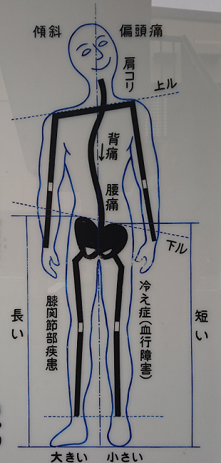 ほね大工　佐藤整骨院 (1)